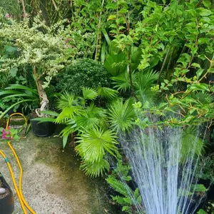 Vườn nhiệt đới 49