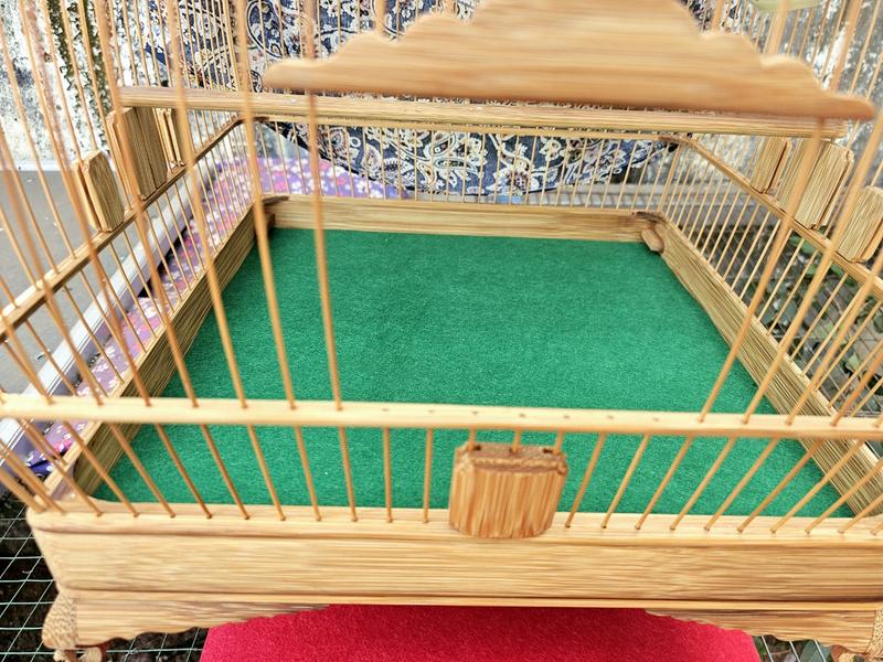 Compo 10 -20 -50 -100 Tấm lót lồng chim chào mào 35x35cm cho lồng size 37