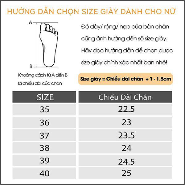 Product Introduction of DÉP GUỐC NHỌN HOA HỒNG CAO 9 cm 0