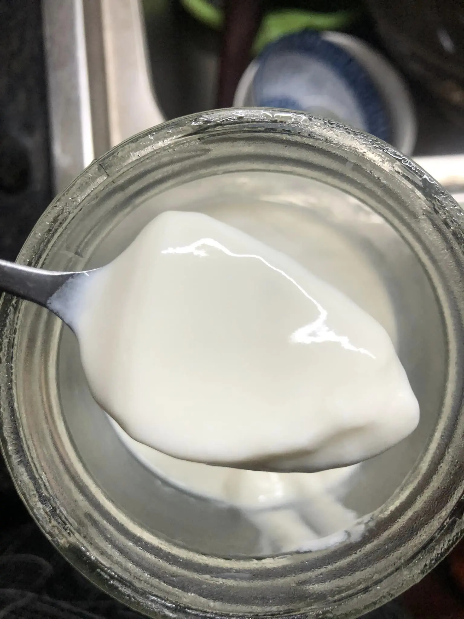 Các sản phẩm làm sữa chua không cần ủ, đồ Healthy, tốt cho sức khỏe