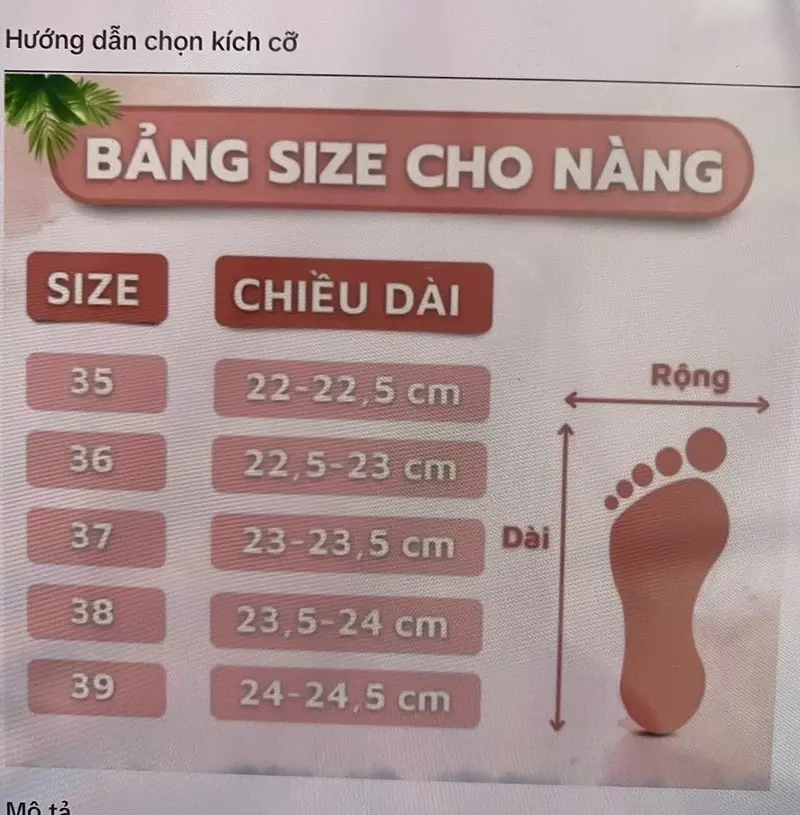 Product Introduction of Giày cao gót gắn nơ đá 7-9 phân 0