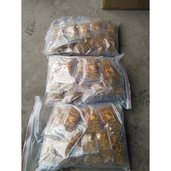 Gạo vàng thần tài thu hút phong thuỷ