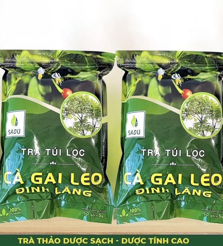 Trà Túi Lọc Cà Gai Leo Đinh Lăng 500g (2 bịch x 250g) Nước Trà Tea Chè Chua cagaileo tra thanh nhi et