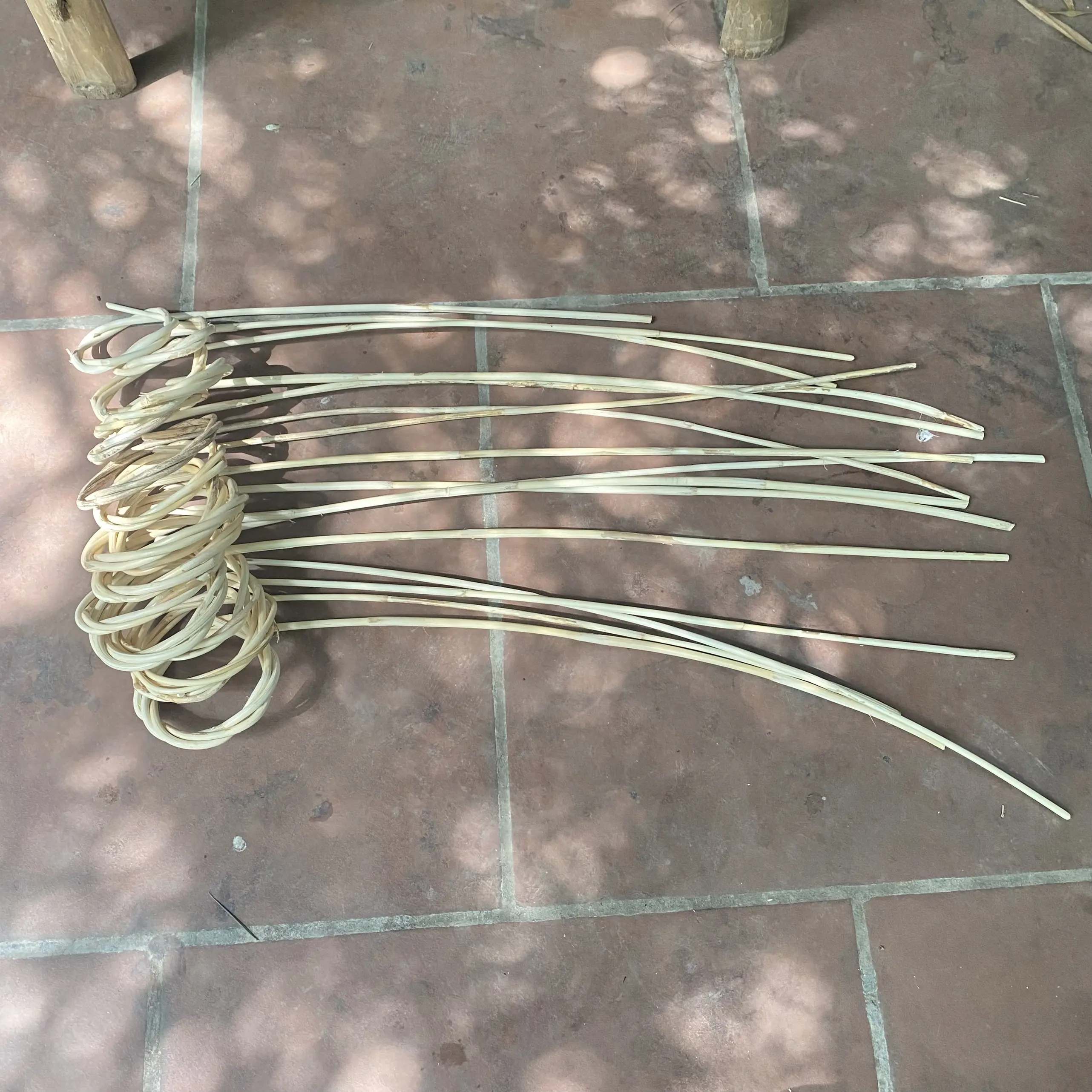 Cây mây dẻo dai, chính hãng  ( mây việt )  Decor Phòng