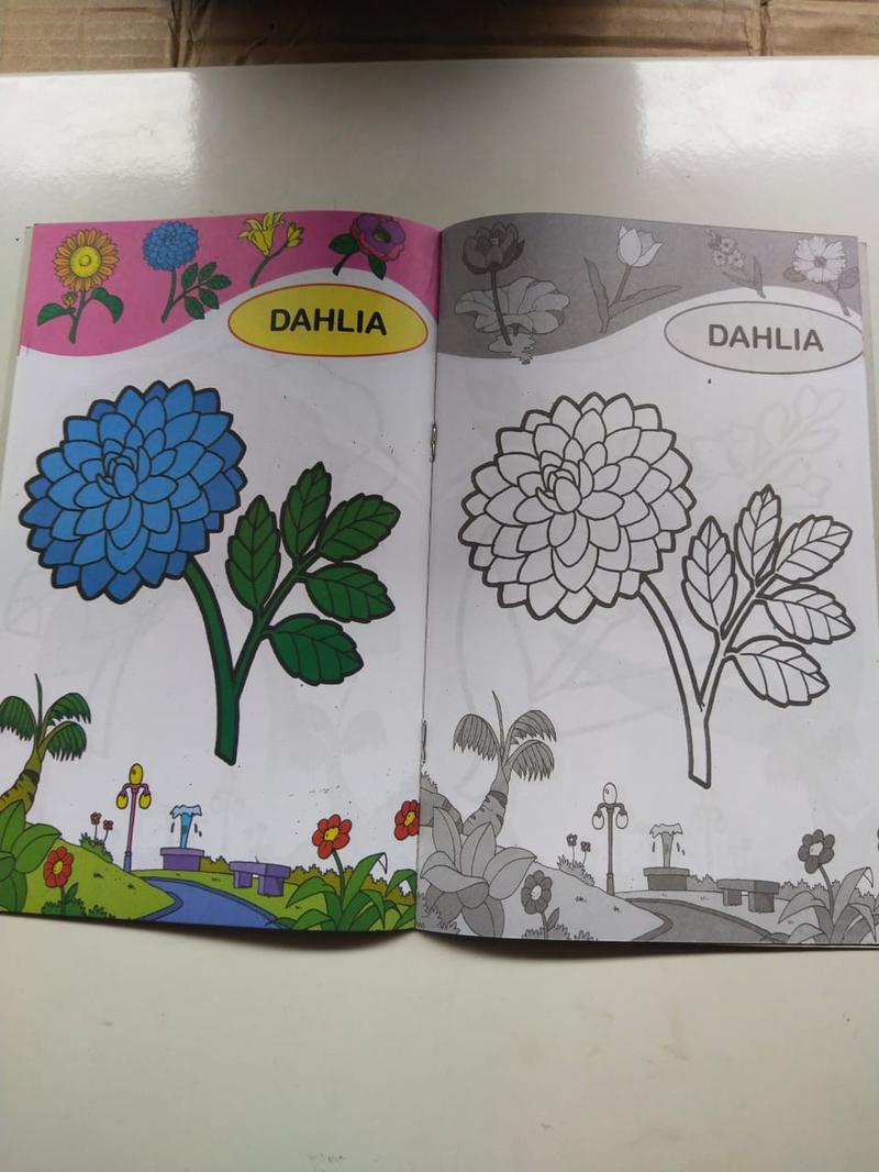 Product Introduction of Buku Mewarnai TK Budiono Gambar Bunga Edisi Reguler 2