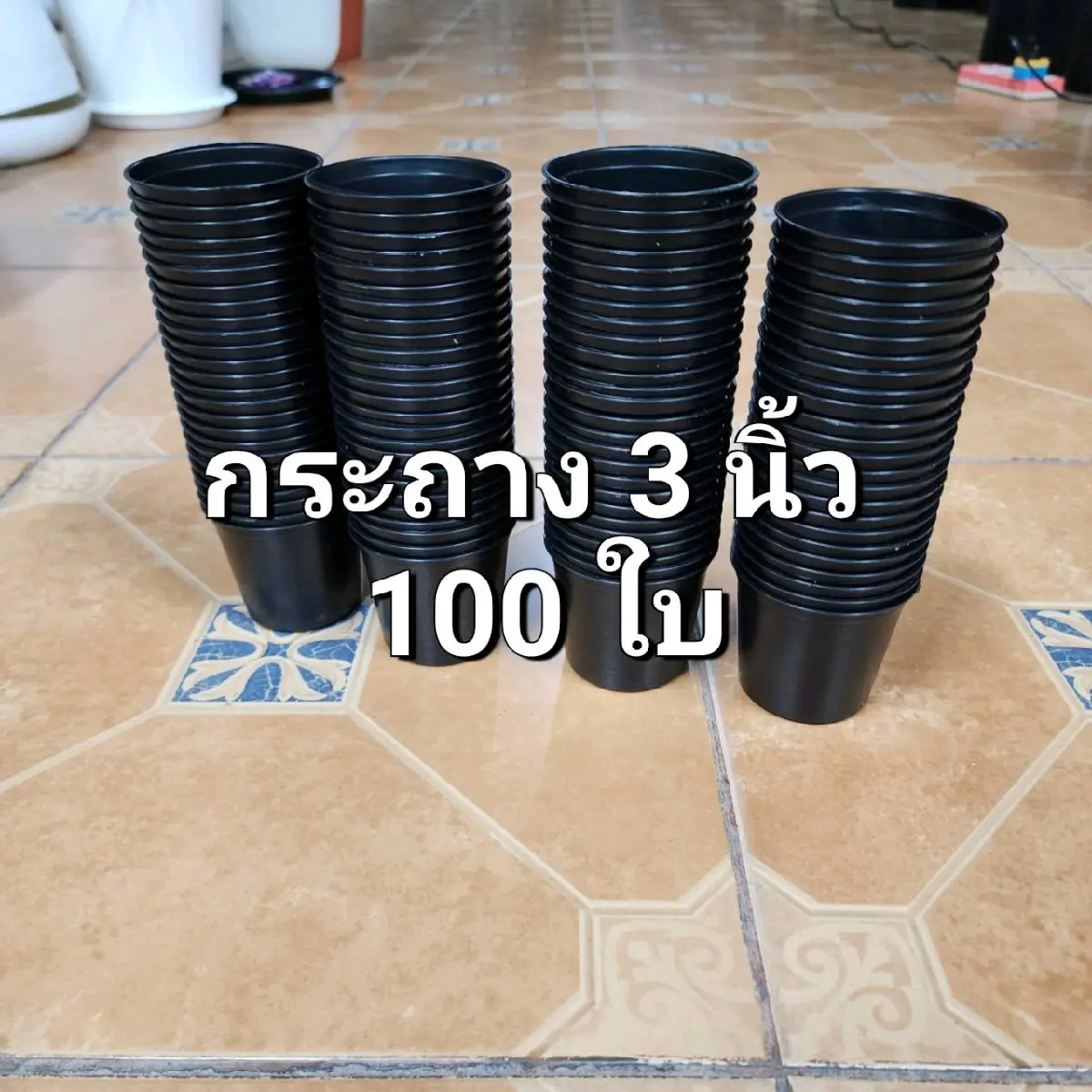 กระถางต้นไม้ 3 นิ้ว ชุดละ 100 ใบ หรือ 50 ใบ