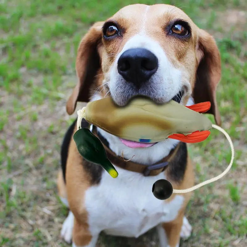 Animals Design Dog Interactive Toy, 1 Count Chew-proof Training Toy for Human-dog Bonding & Outdoor Fun, Dog Training Supplies