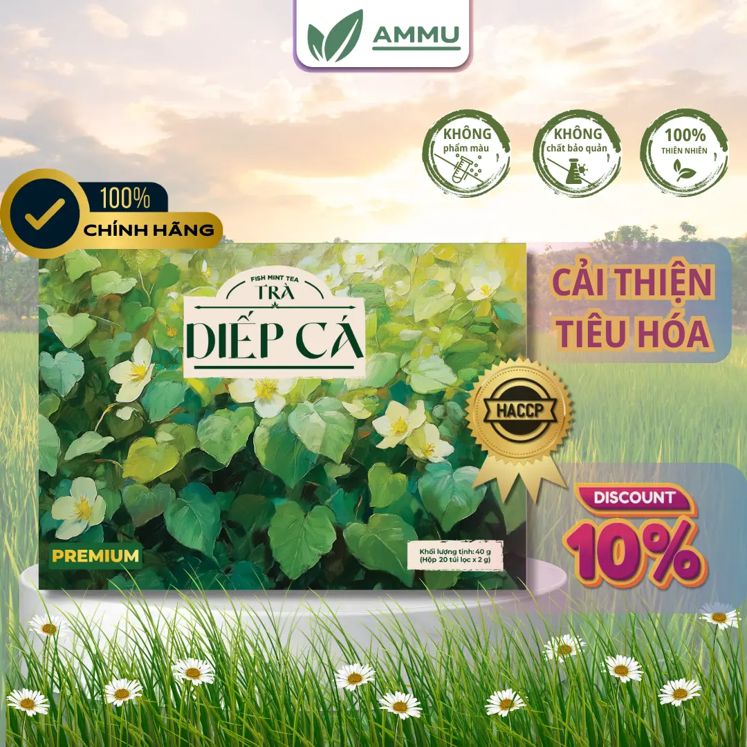 Trà Túi Lọc Diếp Cá Kết Hợp Cỏ Ngọt Ammu Thanh Nhiệt Mát Gan Detox Tốt Cho Người Bị Trĩ Hộp 20 Túi