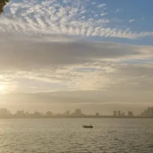 Bách Hóa Xe Hơi 1977