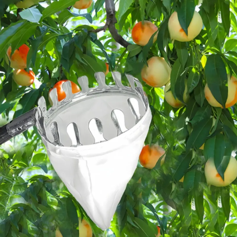Stainless Steel Fruit Picker, Adjustable Pole Harvesting Tool, Orchard Harvesting Device, High Altitude Fruit Collector, Portable Fruit Harvester 2