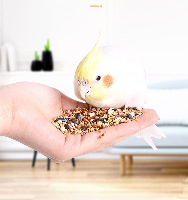  Hạt trộn cho vẹt Lovebird CockTaile Yến Phụng và các dòng vẹt nhỏ và vừa 