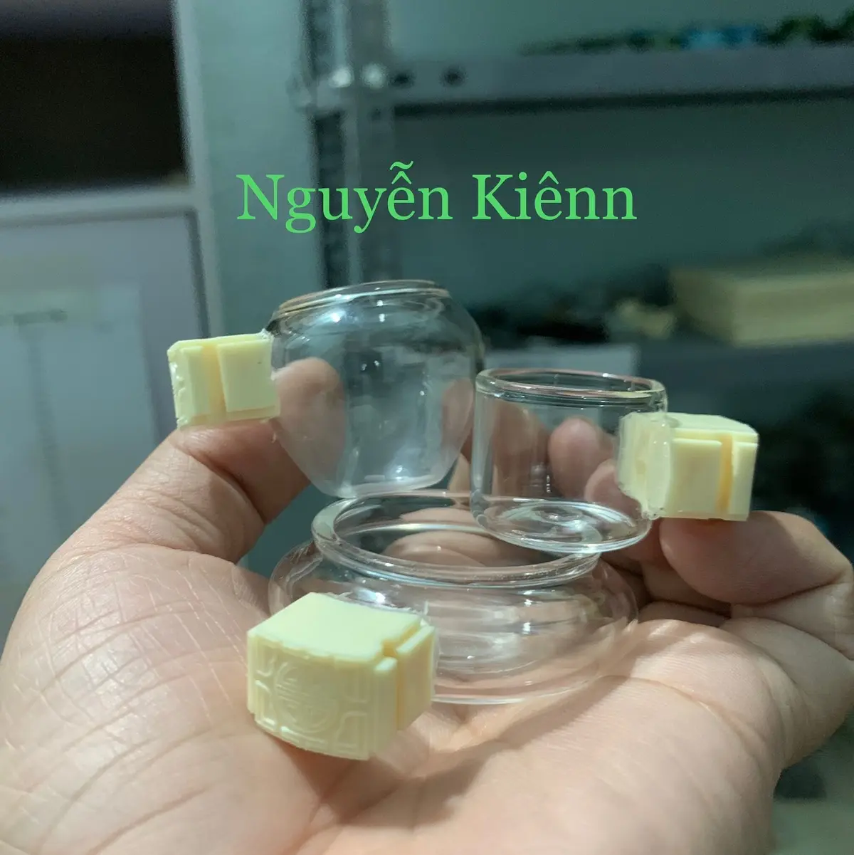 Cóng thuỷ tinh chim