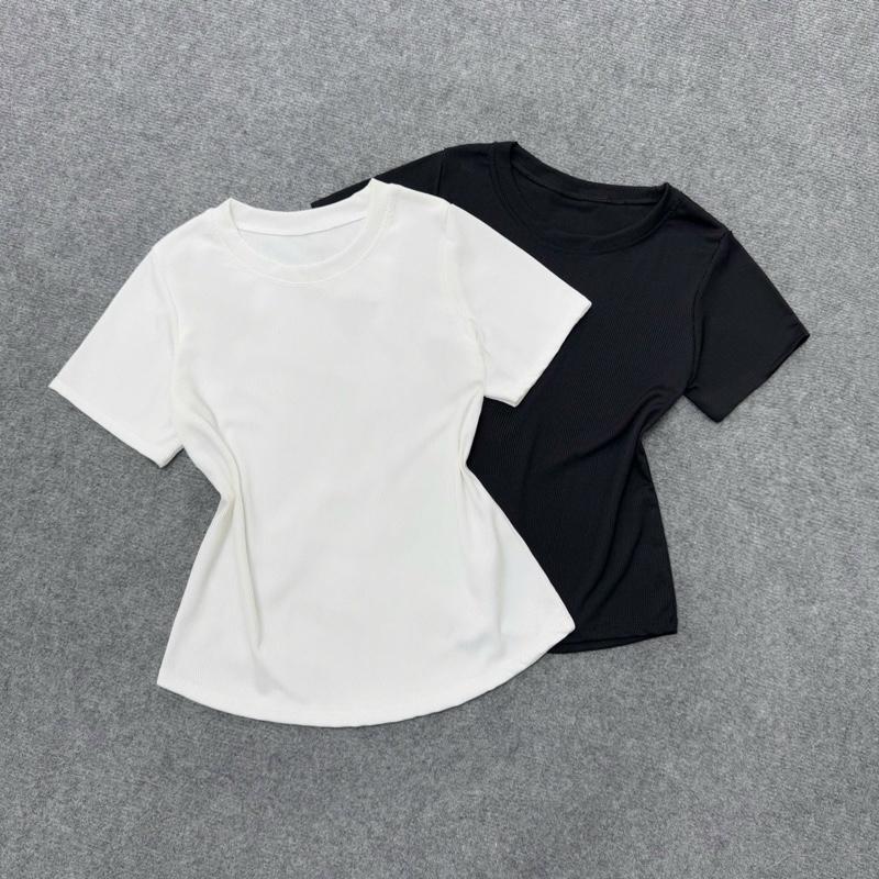 CHÀO HÈ COMBO Áo thun basic bigsize vải tăm qc mềm mại co giãn ( KHÔNG XÙ LÔNG) dáng baby xinh cho nữ từ (50-90kg) G244 Women