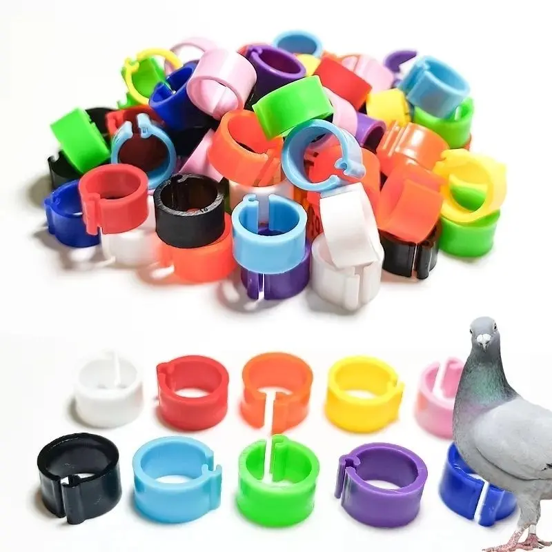 ring clip polos meepati dewasa 10pcs campur