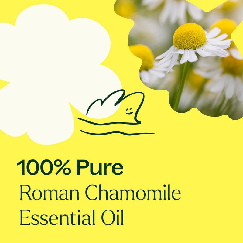 Plant Therapy Chamomile Roman Organic Essential Oil 8