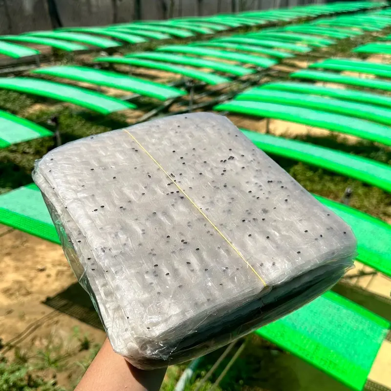 Combo 100 bánh Tráng + 2 chai mắm nêm 2