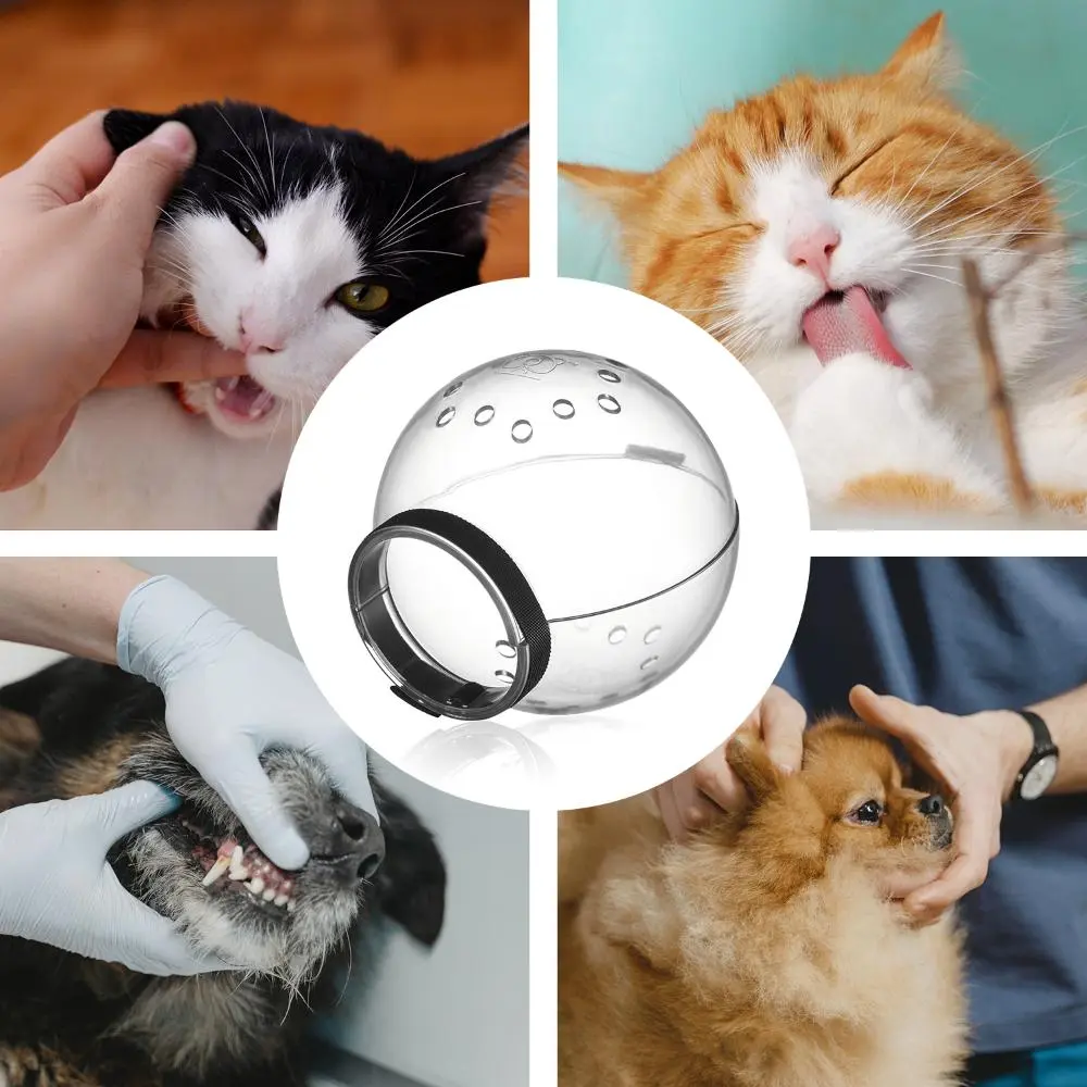 Anti Bite Recovery Adjustable Cute Neck Cone Breathable Adjustable Cat Recovery Cat Collar Hood Elizabeth Collar