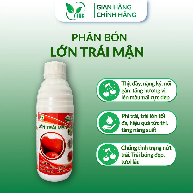 Phân Bón Lớn Trái Mận Thụy Sỹ, Phì Trái Tối Đa, Siêu Nặng Ký, Trái Bóng Đẹp, Mùi Thanh - Chai 1 lít 2