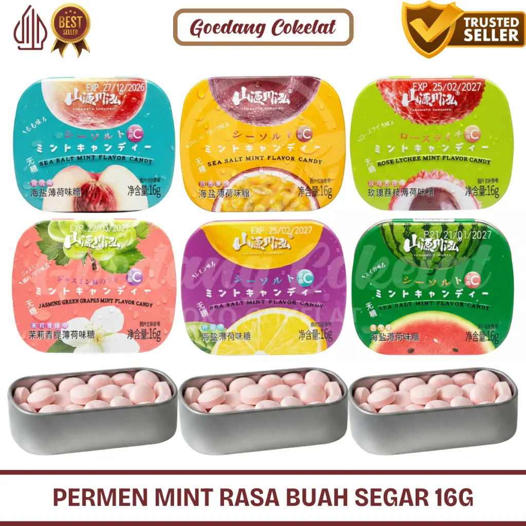 Permen Viral Mint Kaleng Yamamoto 16g Aneka Rasa Buah Sea Salt Candy ...