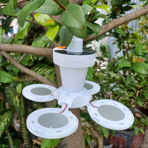 Đèn led trang trí giá sỉ