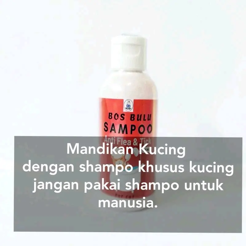 Shampo Kucing kemasan 60 ml 3