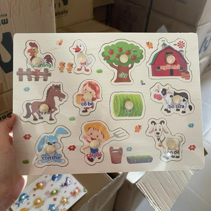 Bảng ghép hình núm gỗ với nhiều chủ đề cho bé 1