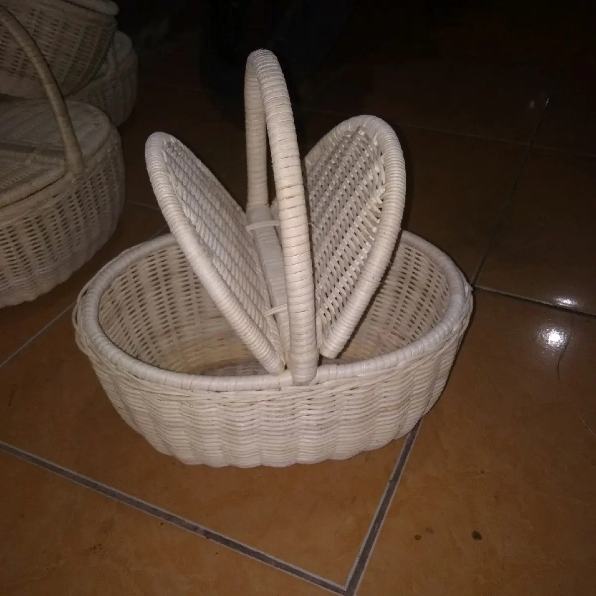 piknik rotan