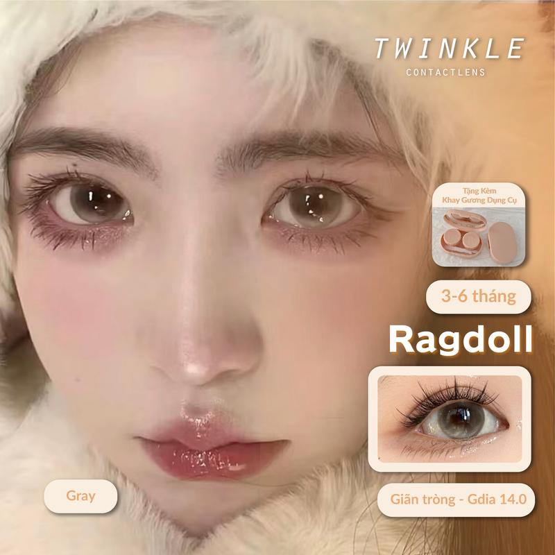  14.5 Kính áp tròng lens Ragdoll Gray hiệu ứng phủ bóng 2 chiều lens twinkle 