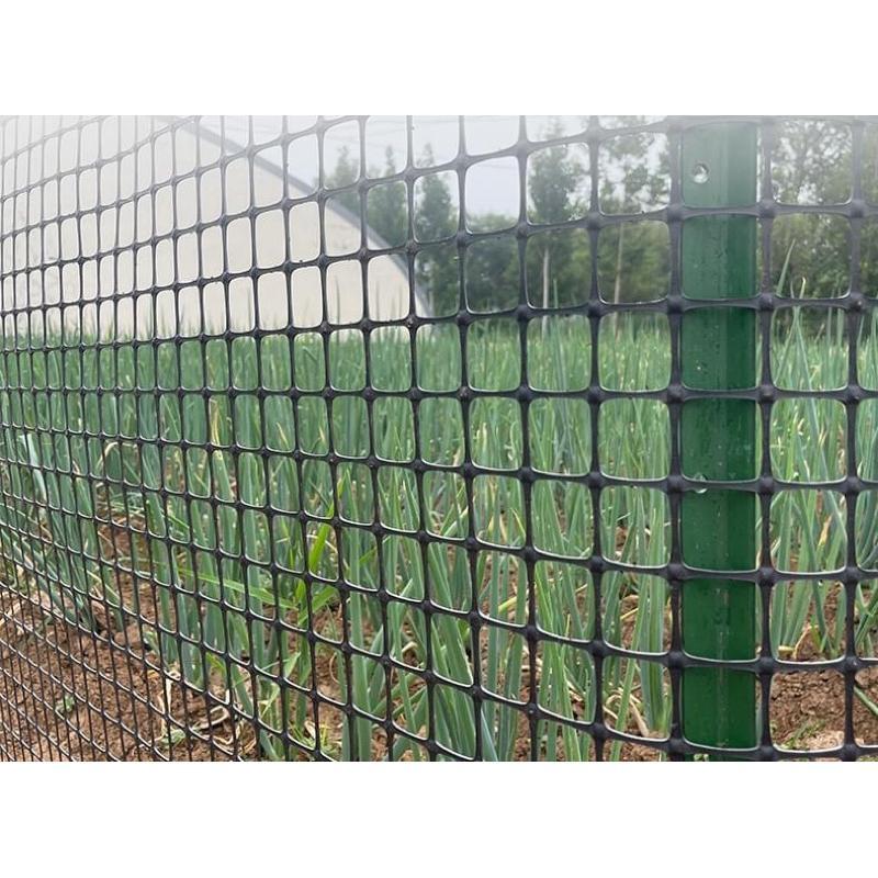  Lưới nhựa dẻo 3,5cm x 2m x 50m - Lưới rào vườn quây chuồng gà làm sàn vịt đai băng dính 