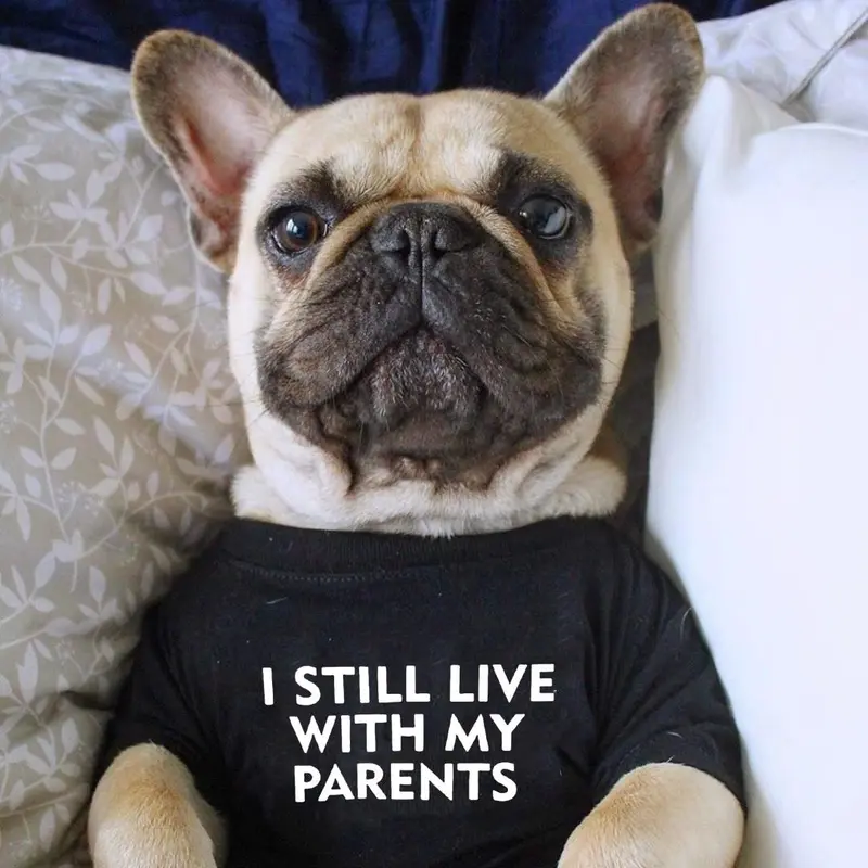 I Still Live with My Parents Letter Print Pet Clothes, 1 Count Funny Creative Pet Clothes, Pet Clothes for Dogs 3