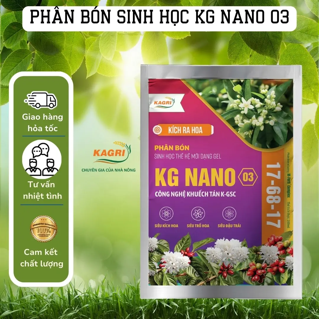 [KAGRI] Phân bón sinh học Kg Nano 03 gói 100ml - Siêu kích mầm hoa, trổ hoa đồng đều