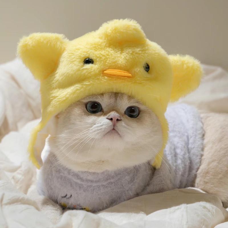 Product Introduction of Funny Pet Costumes: Starfish, Bream, Pig, Chicken, Bear, Panda Headbands for Cats & Dogs 5