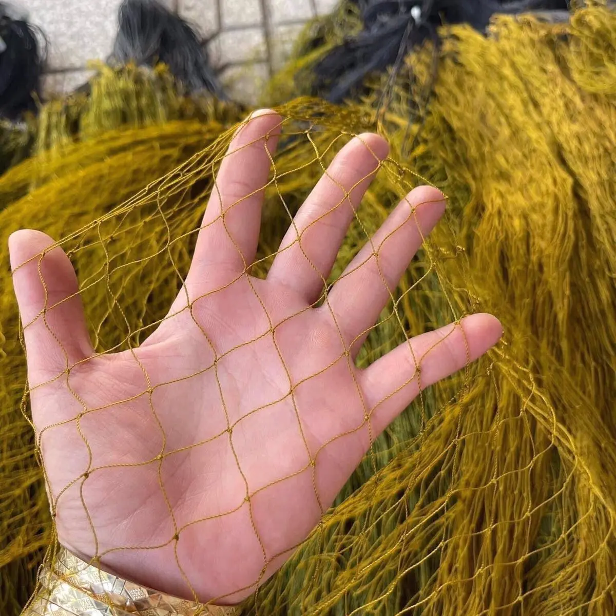 Lưới rắn mắt 3,5p, 1 tay dài 10m, thắt gió chống xô đầy đủ