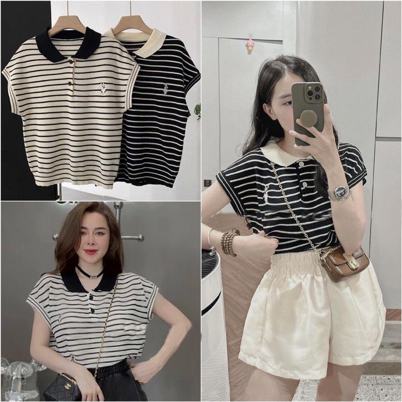 Áo Len Cộc Tay Nữ tay Ngắn cổ Bẻ họa tiết Kẻ Ngang thêu hình THỎ - A214 Women Sọc Kẻ Kem Sen Top Voi Sò