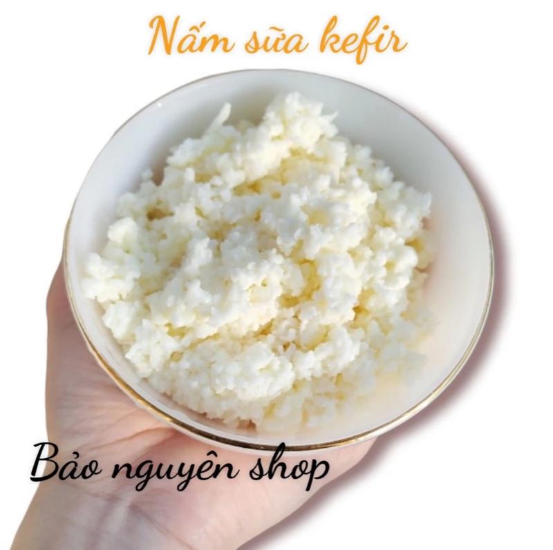 Nấm sữa kefir tặng khăn xô_ làm sữa chua