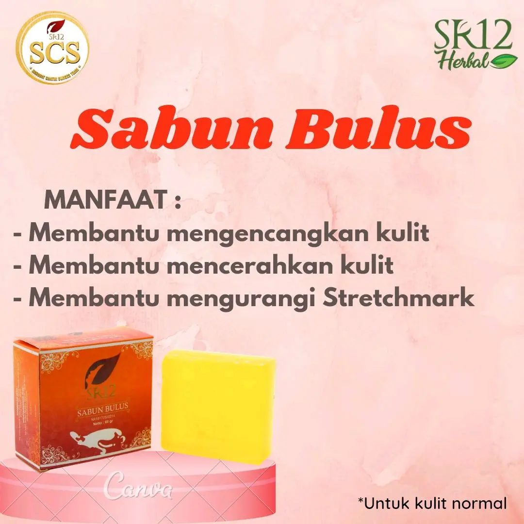 SABUN BATANG SR12