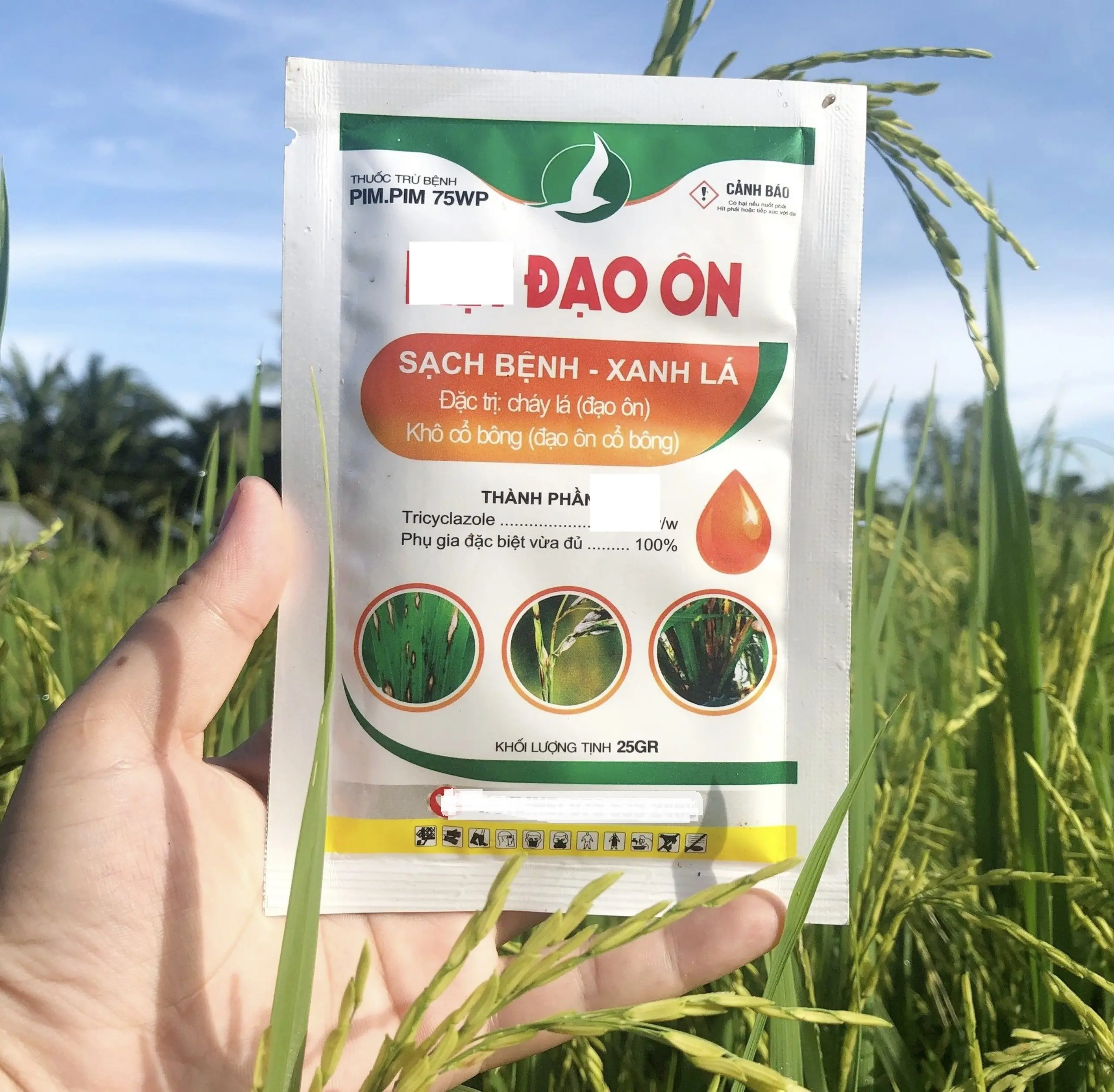 GÓI MÀU TRẮNG - ĐẠO ÔN 25GAM