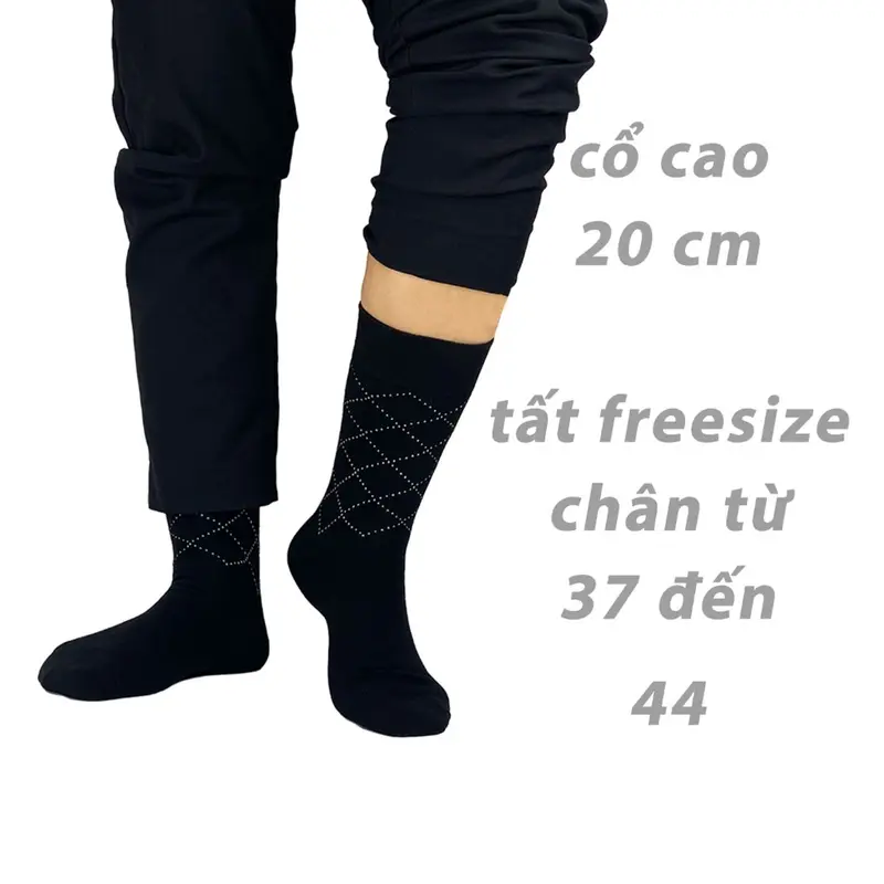 Set 5 đôi tất mang giày tây nam cổ cao RANO sợi cotton cao cấp thấm hút mồ hôi khử mùi Mix5_1 Nhung 3