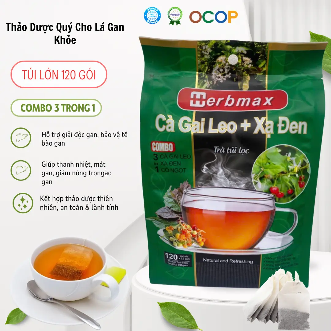 Trà Cà Gai Leo Xạ Đen - Hỗ Trợ Giải Độc Gan, Thanh Nhiệt, Tốt Cho Sức Khỏe - Gói 120 Túi Lọc