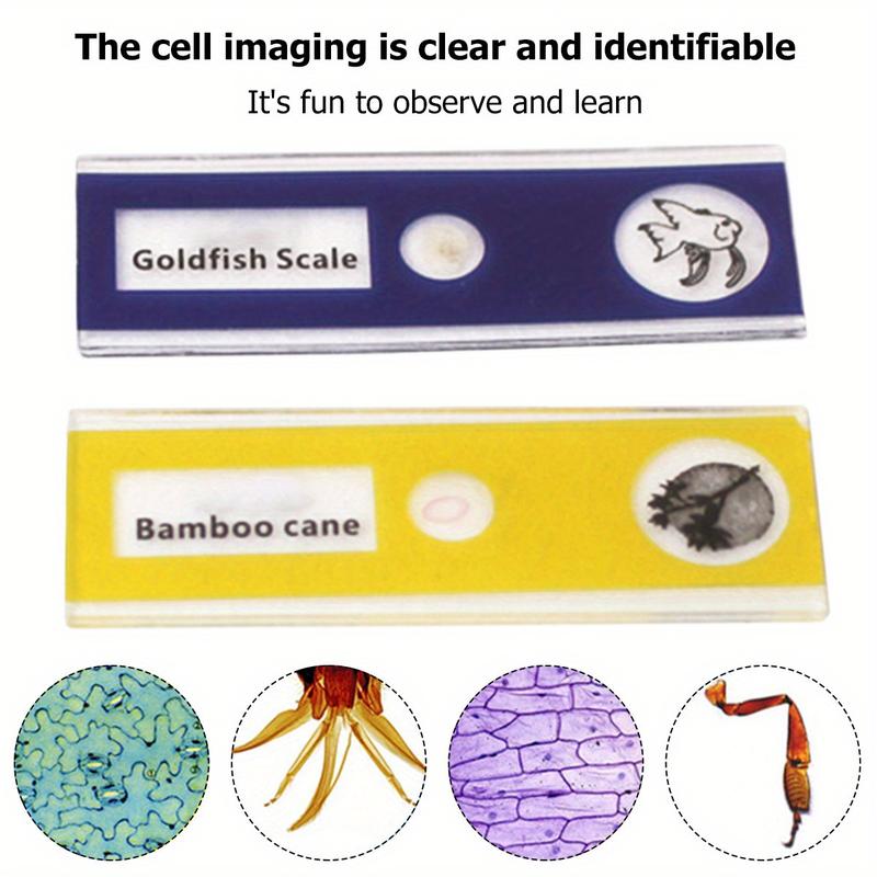Product Introduction of Handheld Microscope Kit Lab LED Light 60X to 120X Home School Biological Science Educational Toys For Children Birthday Gift 21