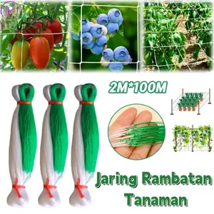 [COD]2M X 100M Jaring Rambatan Tanaman/Jaring Net Rambatan Tanaman Untuk Bertani Jaring Rambatan Tanaman Buah Merambat Plant Climbing Net/Jaring Net Rambatan Tanaman Untuk Bertani