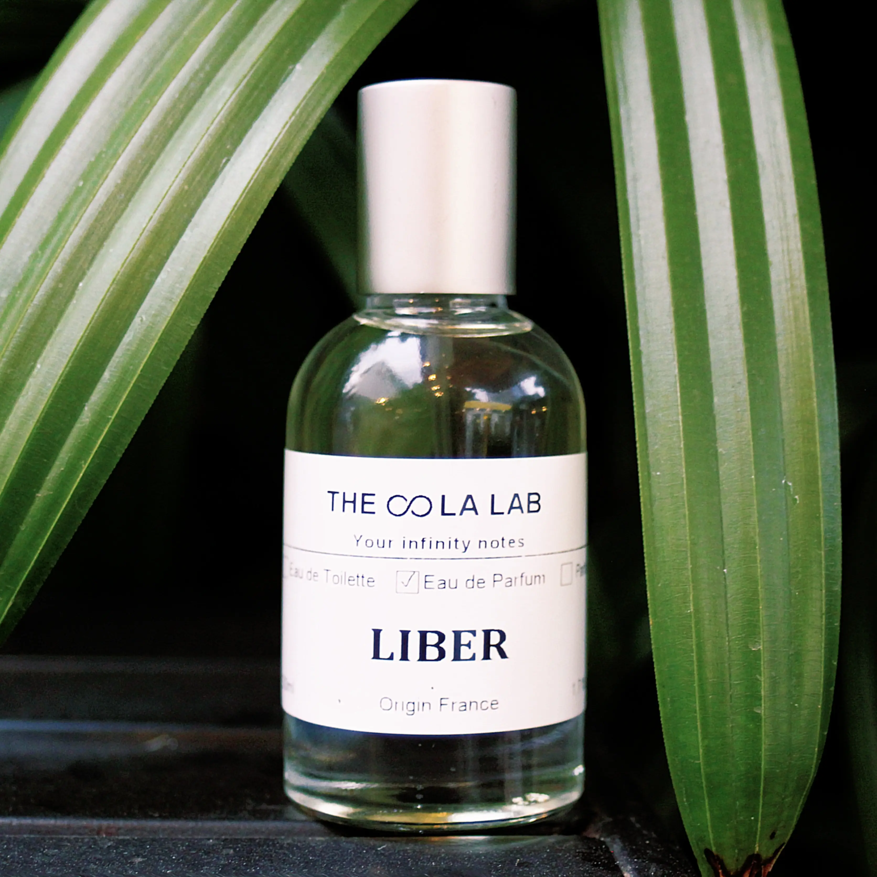 Nước Hoa The OOla Lab LIBER EDP Nam/Nữ - Tươi mát, Ấm áp