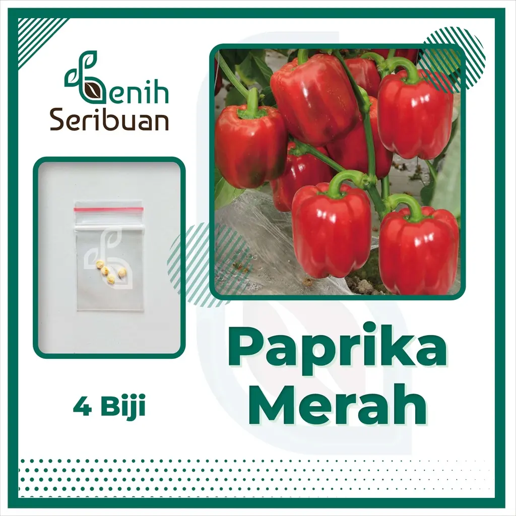 PAPRIKA MERAH