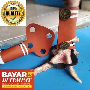 Sepatu anti bubul ayam bangkok