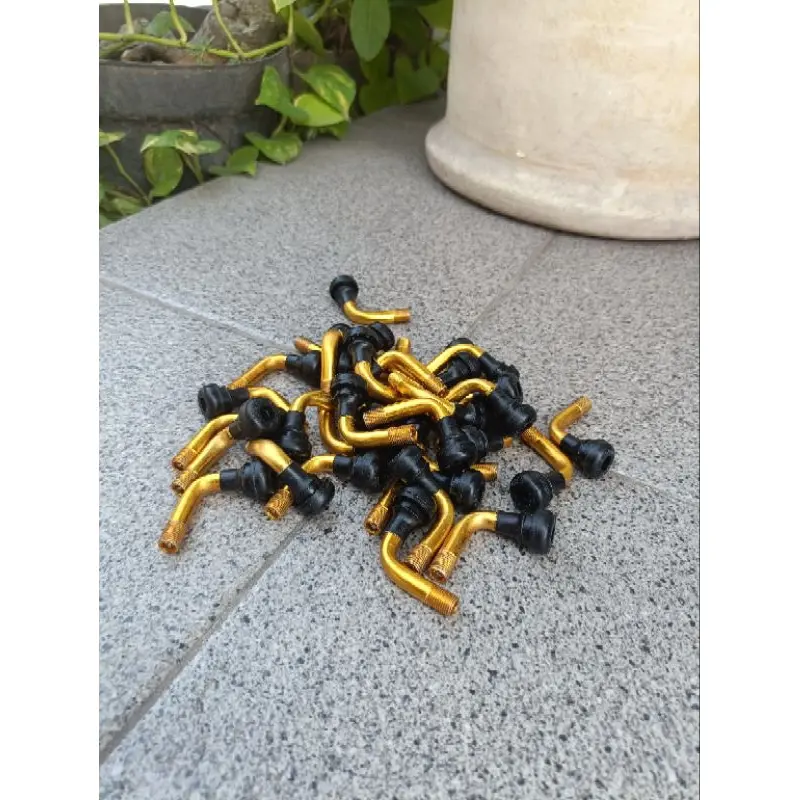 PENTIL TUBELESS SEPEDA LISTRIK PVR-50