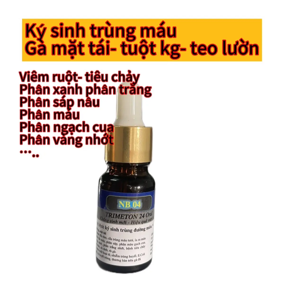 NB 04 Trimeton 24 ký sinh trùng máu( thuốc bổ dinh dưỡng)