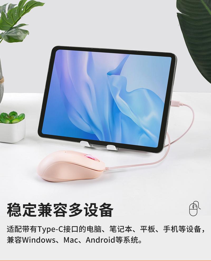 Product Introduction of In Stock Type-C Interface Silent Wired Mouse Compatible with Thunderbolt for Girls Laptop Tablet Phone 5