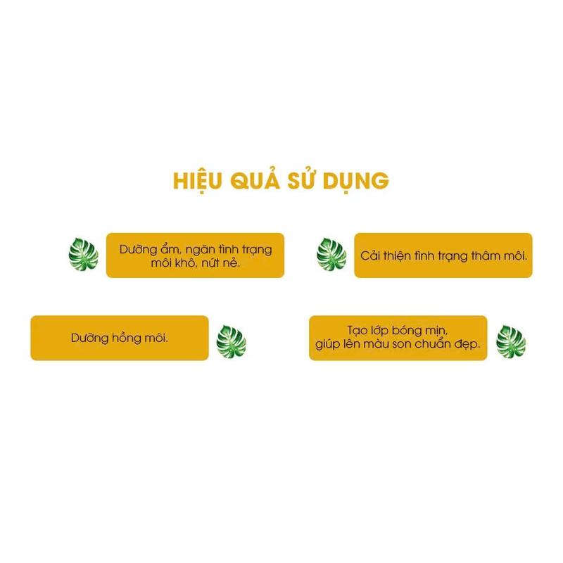 Product Introduction of Serum RIORI HANA LIP Dưỡng Môi Dưỡng Ẩm Giảm Thâm Ngừa Khô Ráp 5ML 2