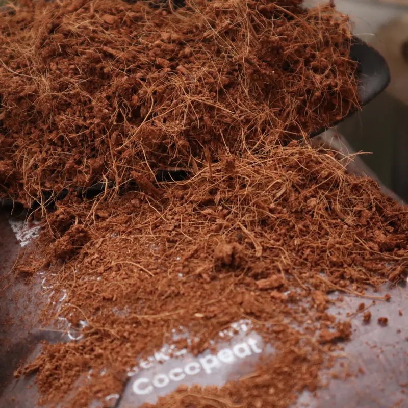 Cocopeat Berkualitas Bisa untuk Media Tanam & Hidroponik Tanah Tanaman 3