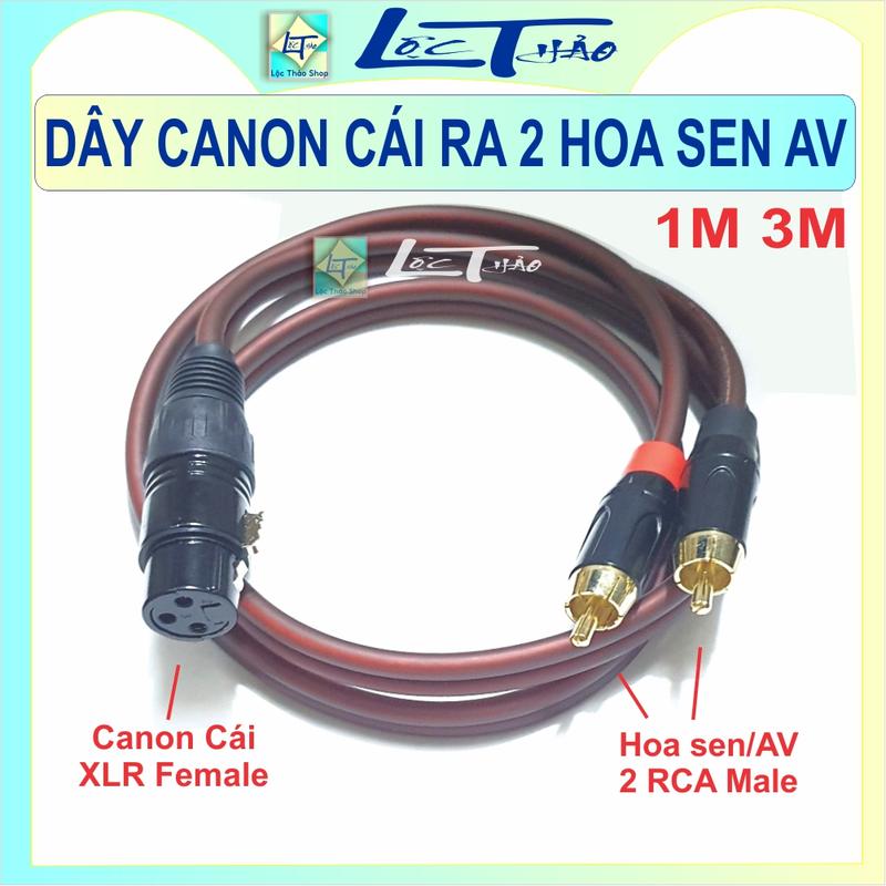 Dây Canon Cái ra 2 Hoa sen AV dài 1M 3M - Dây Canon XLR Cái ra 2 đầu AV Bông sen -Dây 2 đầu Hoa sen AV ra Canon Cái - 3 Pin XLR Female to 2 RCA Audio Cable